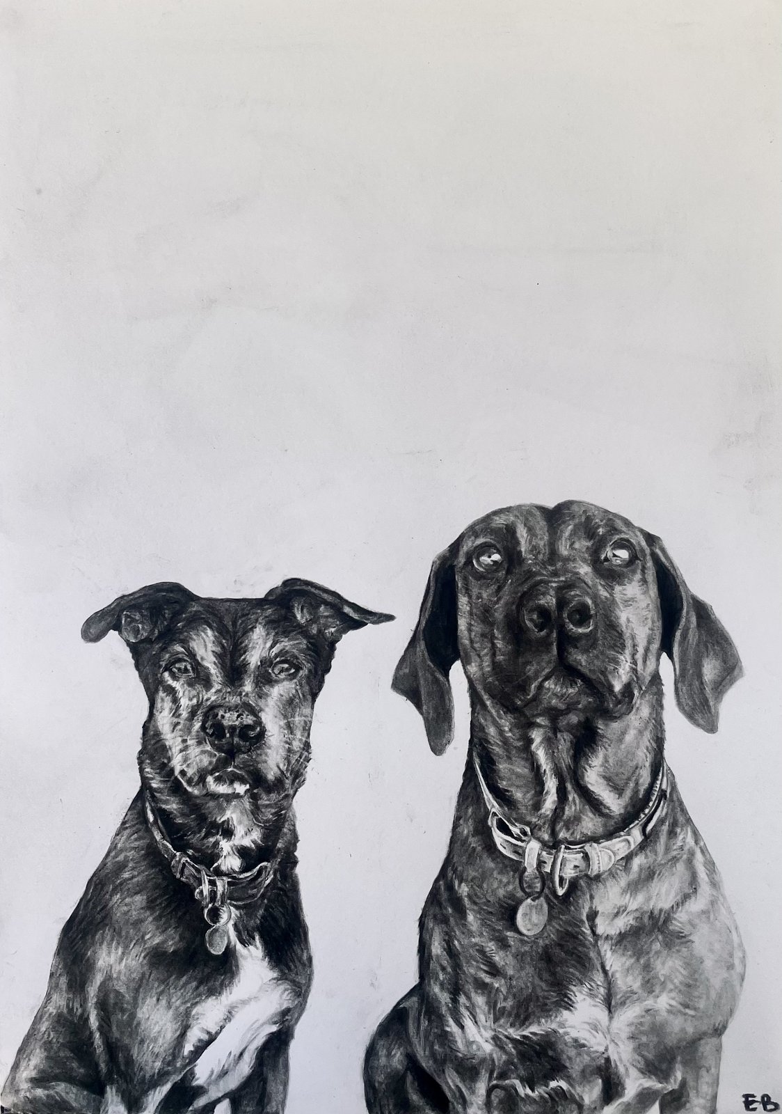 Faithful Two — two dogs portrait